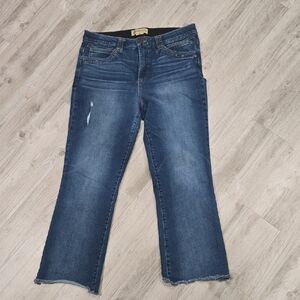 Democracy Dark Blue Ankle Flare Jeans